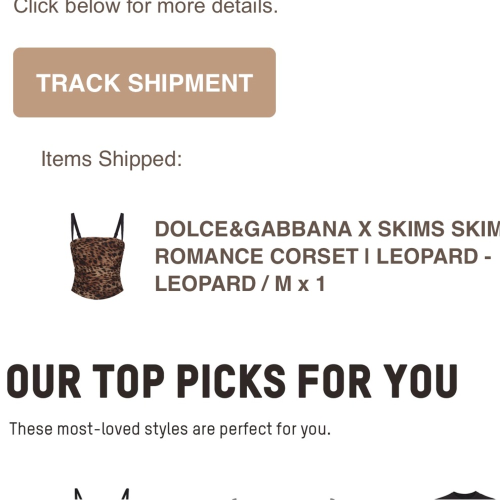 DOLCE&GABBANA X SKIMS SKIMS ROMANCE CORSET | LEOPARD - LEOPARD / M x 1 - Picture 2 of 2